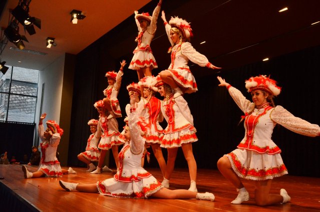 umzug simmern_140301_vb_326